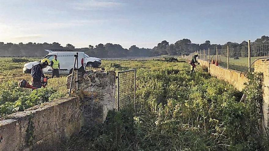 Trabajos para la adecuación del nuevo aparcamiento público en sa Barralina I.