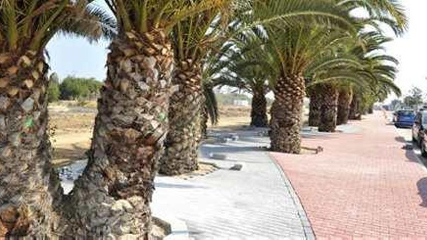 Los Verdes denuncian que la obra del parque de Los Balcones de Torrevieja carece de permisos