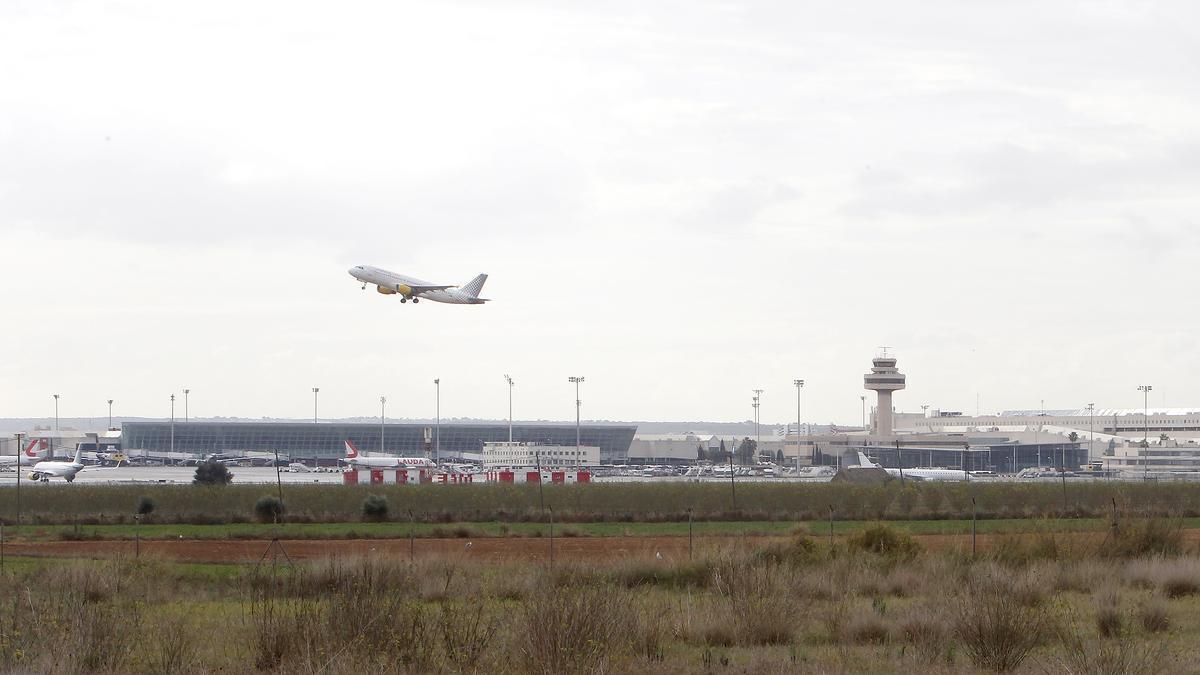 Ein startendes Flugzeug am Flughafen von Palma de Mallorca.