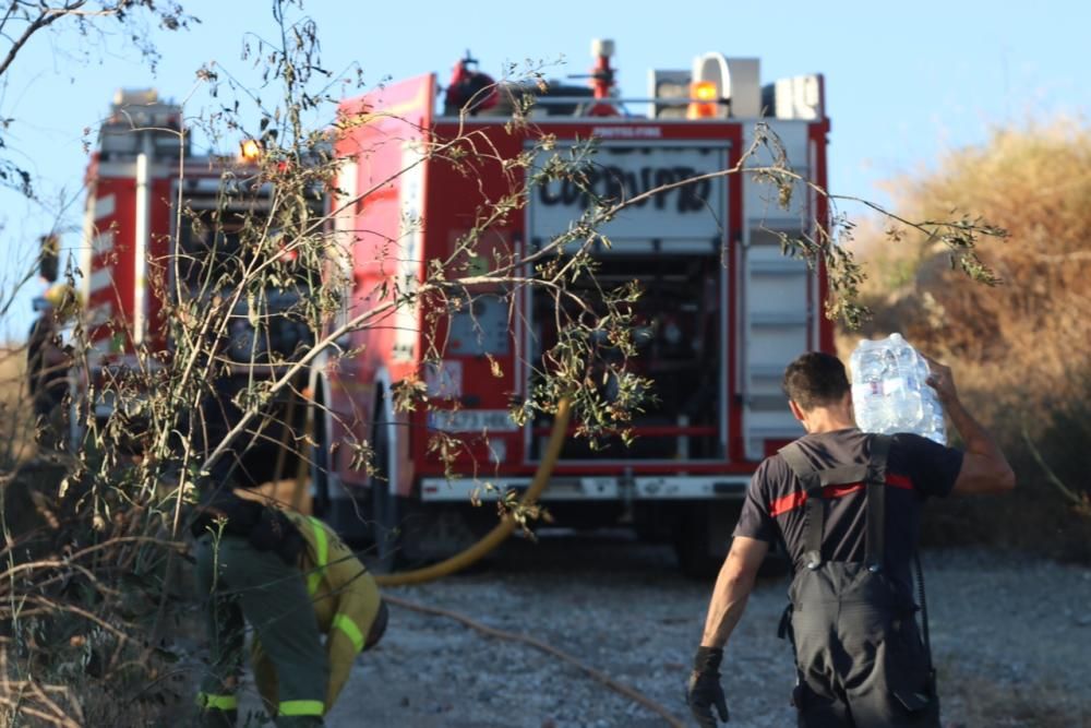 Incendio de matorral cerca del Asilo de los Ángeles