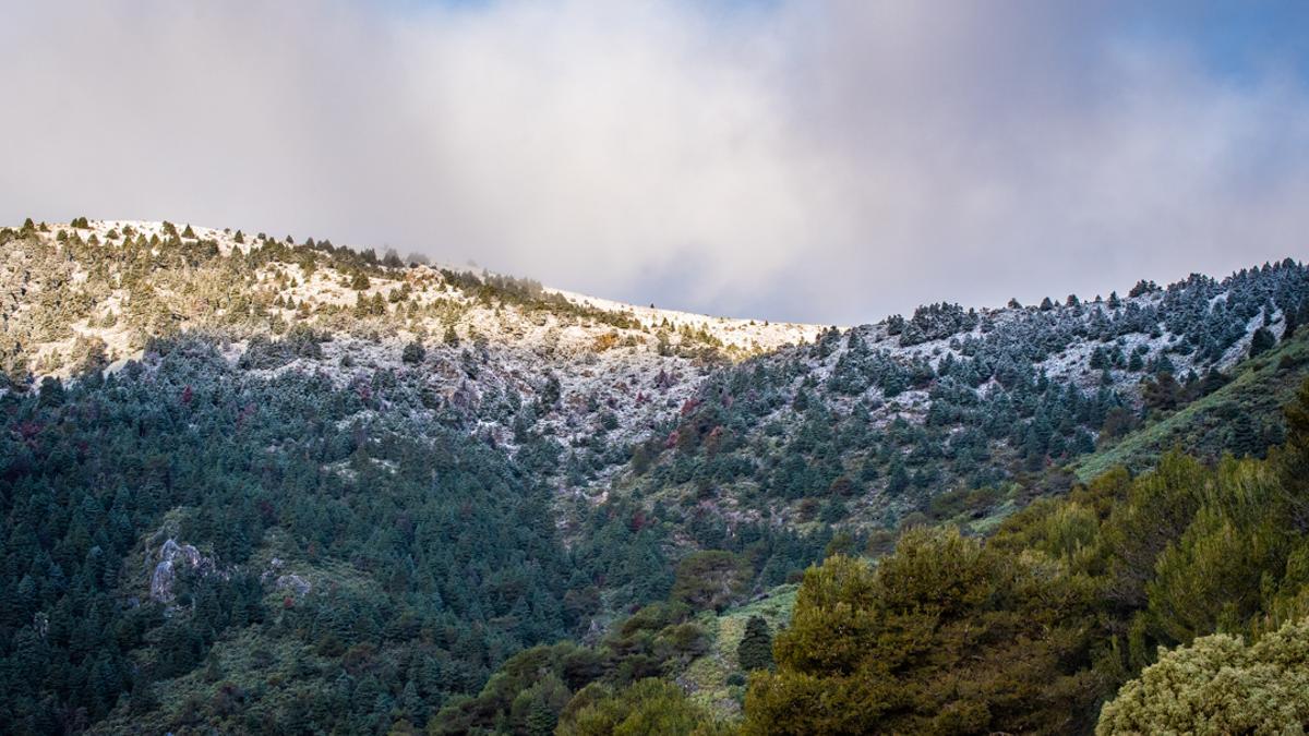 La Junta de Andalucía crea el Espacio Natural de la Sierra de las Nieves.