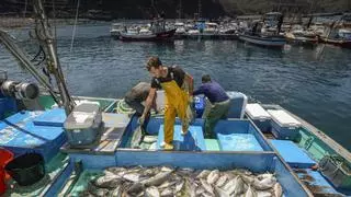 "Todos tienen que cumplir las normas": el Estado instalará cámaras inteligentes para evitar la pesca furtiva en Canarias