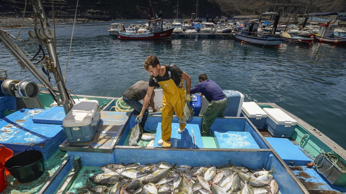 "Todos tienen que cumplir las normas": el Estado instalará cámaras inteligentes para evitar la pesca furtiva en Canarias