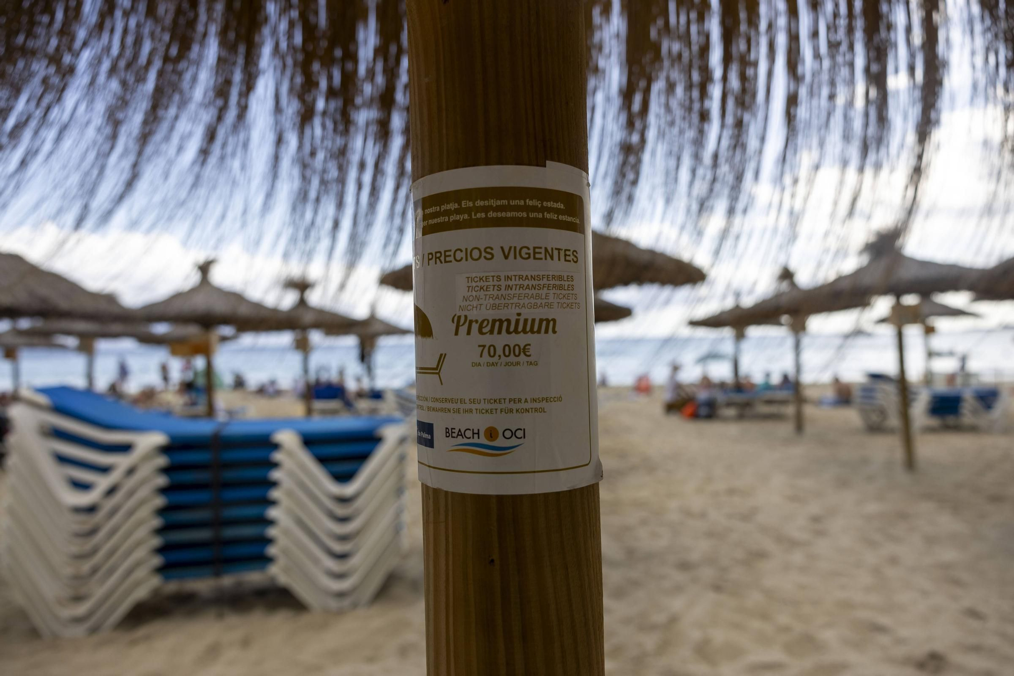 El GOB denuncia a Costas las hamacas ‘premium’ por 70 euros sin autorización de Cala Major