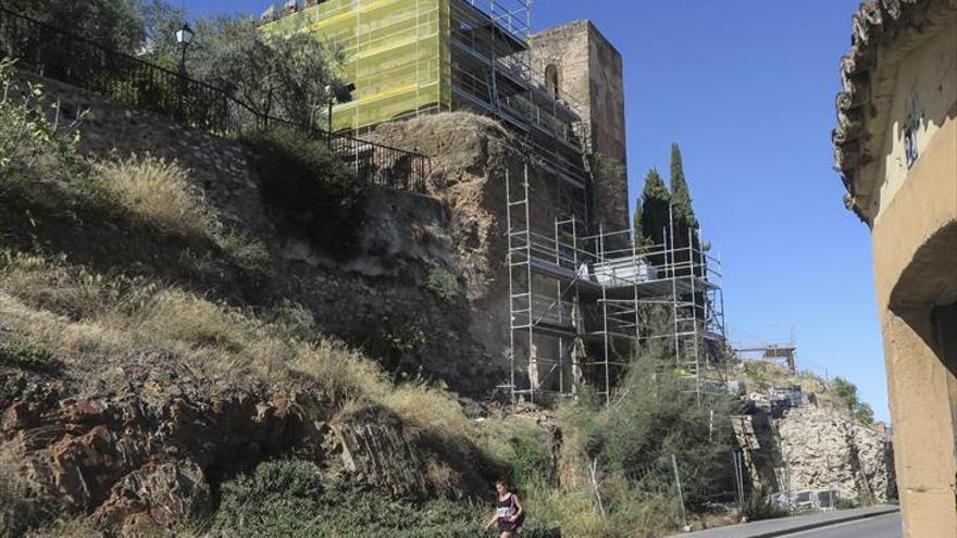 Los vencejos no volverán a la muralla original pero habrá nidales artificiales