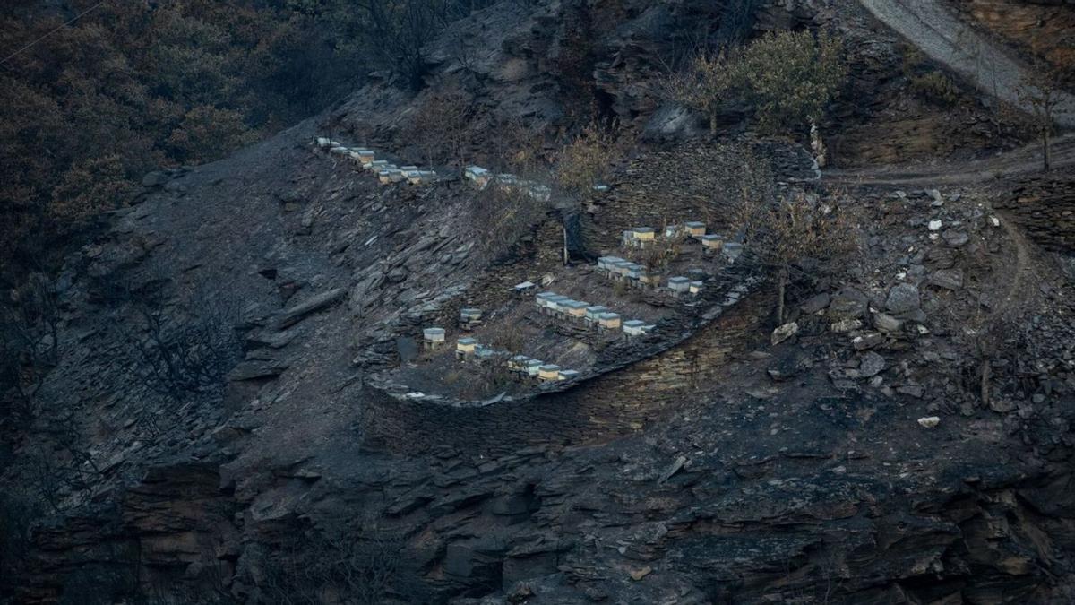 ¿Qué provocó el mayor incendio de la historia de Galicia? No hallan indicios de intencionalidad ni de imprudencia