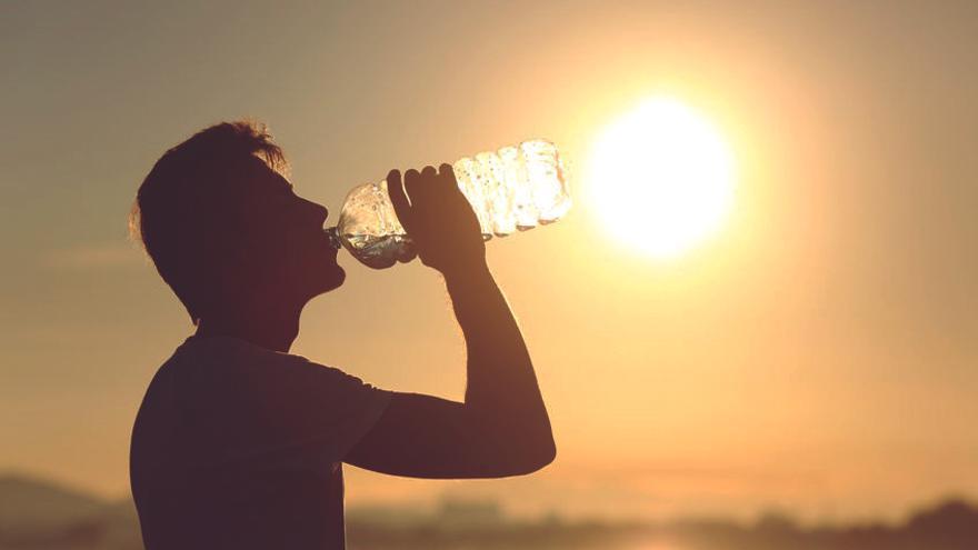 La jornada ha dejado hoy en Mallorca temperaturas máximas de 33,6 grados en el campus de la UIB