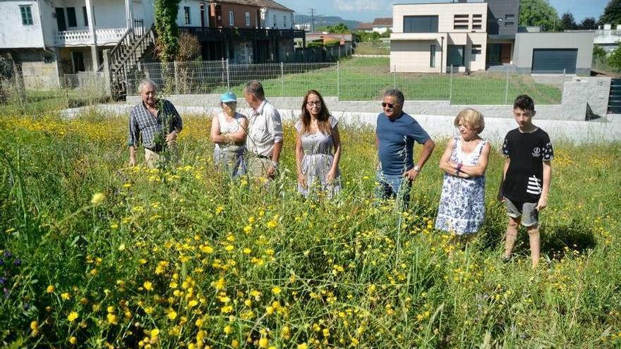 Varios vecinos en la parcela en la que está previsto el parque con maleza de considerable altura. // R.V.