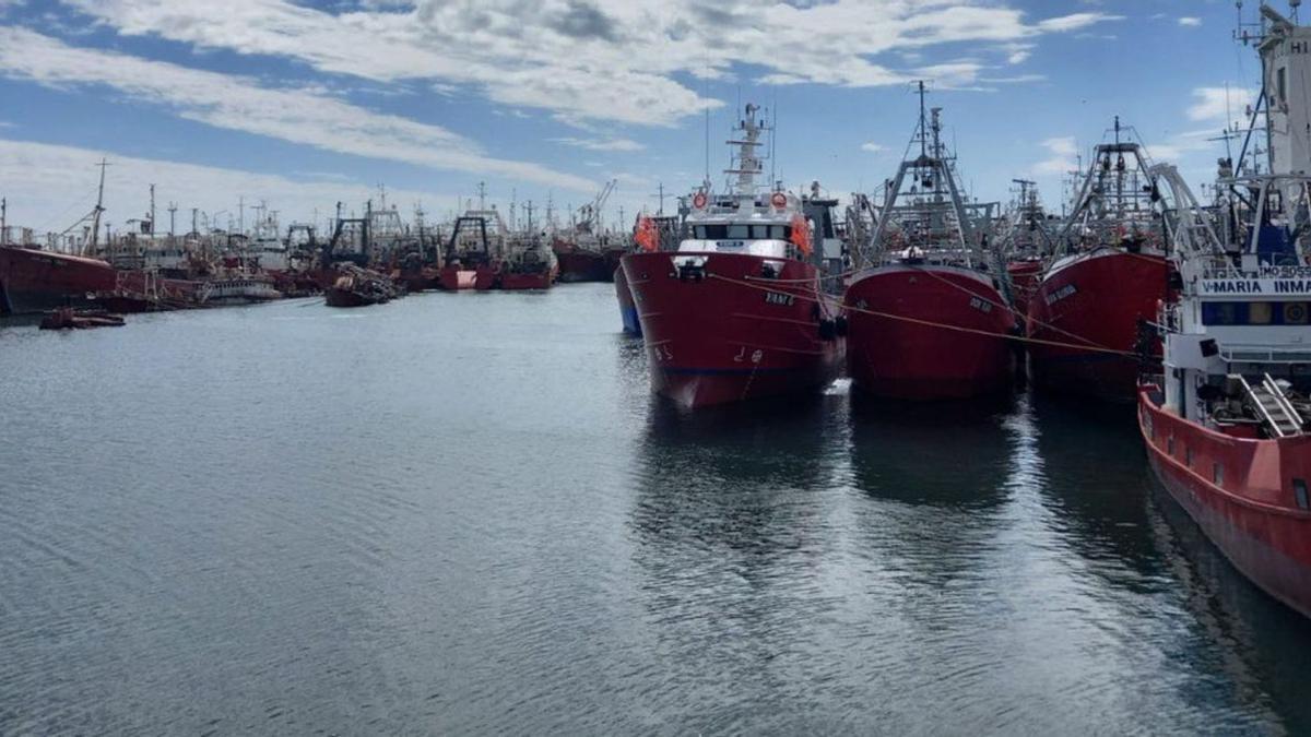 Pesqueros amarrados en Mar de Plata, principal puerto pesquero de Argentina.