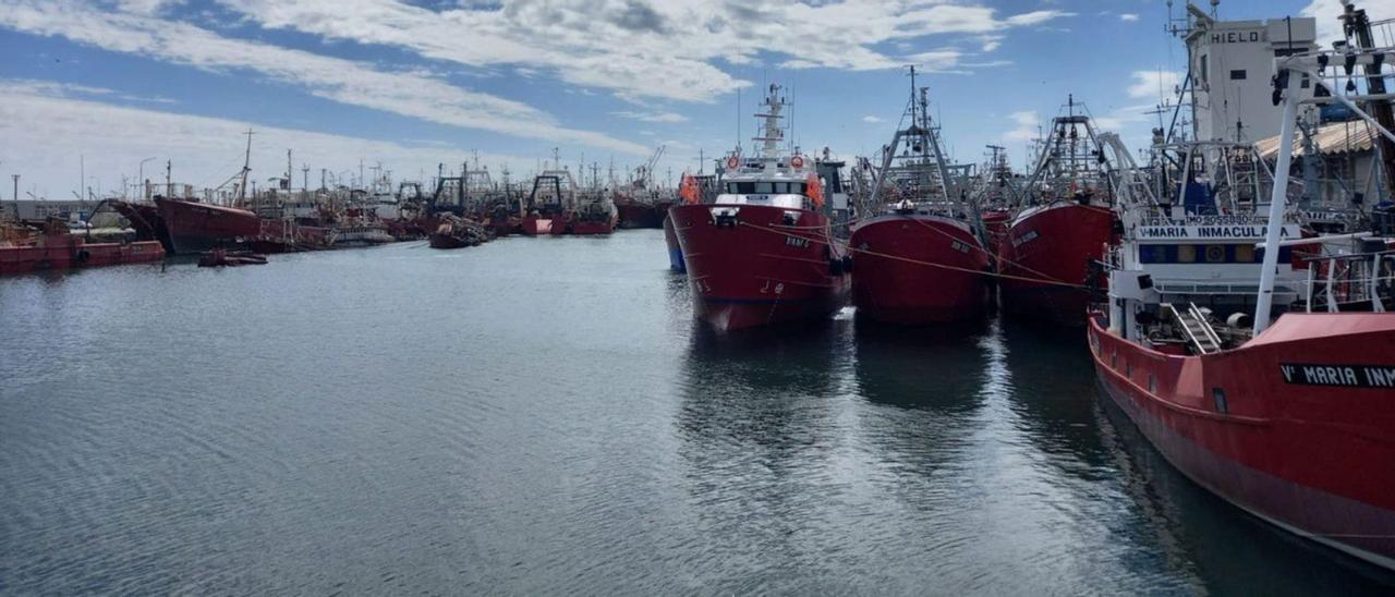Pesqueros amarrados ayer en Mar de Plata, 
principal puerto pesquero de Argentina.