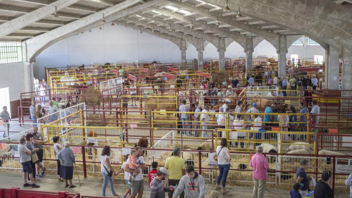 La rehabilitación del mercado: más de 2 millones para un moderno recinto ferial