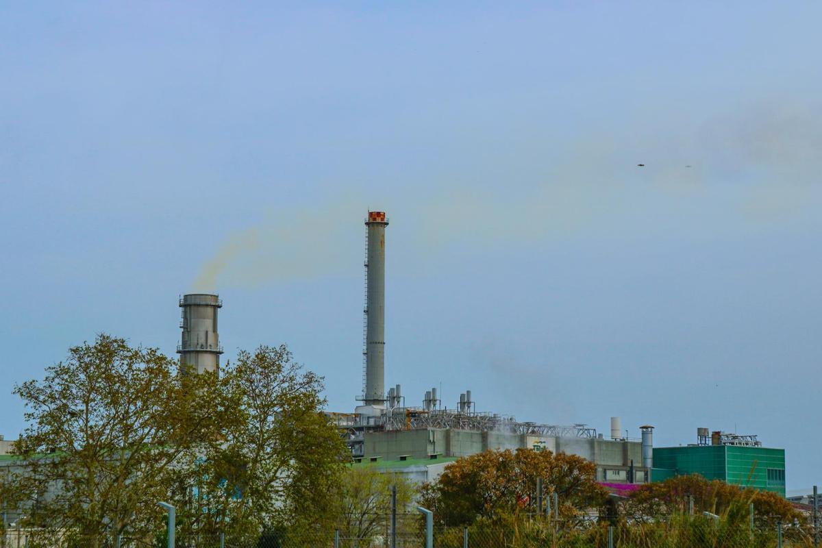 Humo amarillento saliendo de la chimenea de una de las plantas de ciclo combinado junto a la incineradora de Tersa, en Sant Adrià de Besòs.