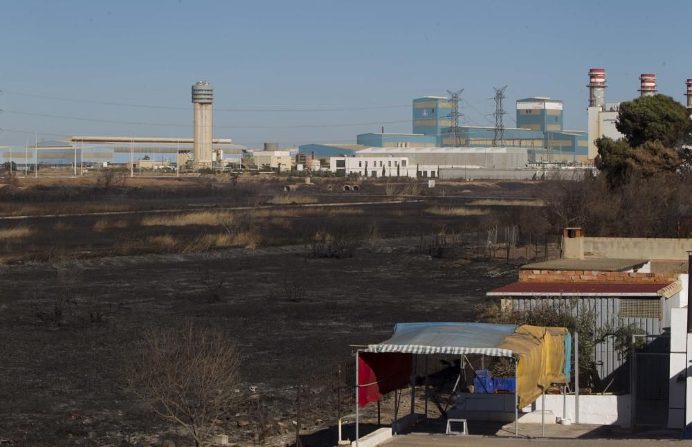 La Marjal dels Moros tras el incendio