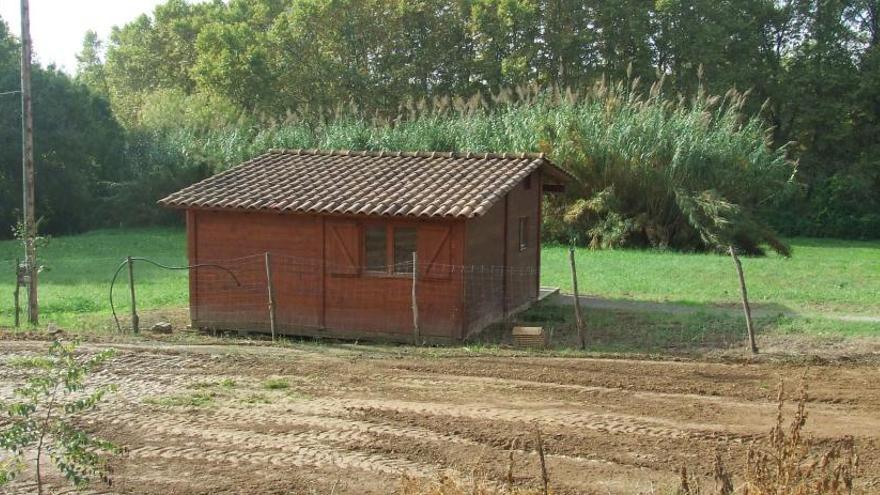 Dos detinguts per simular robatoris de cadells de gossos