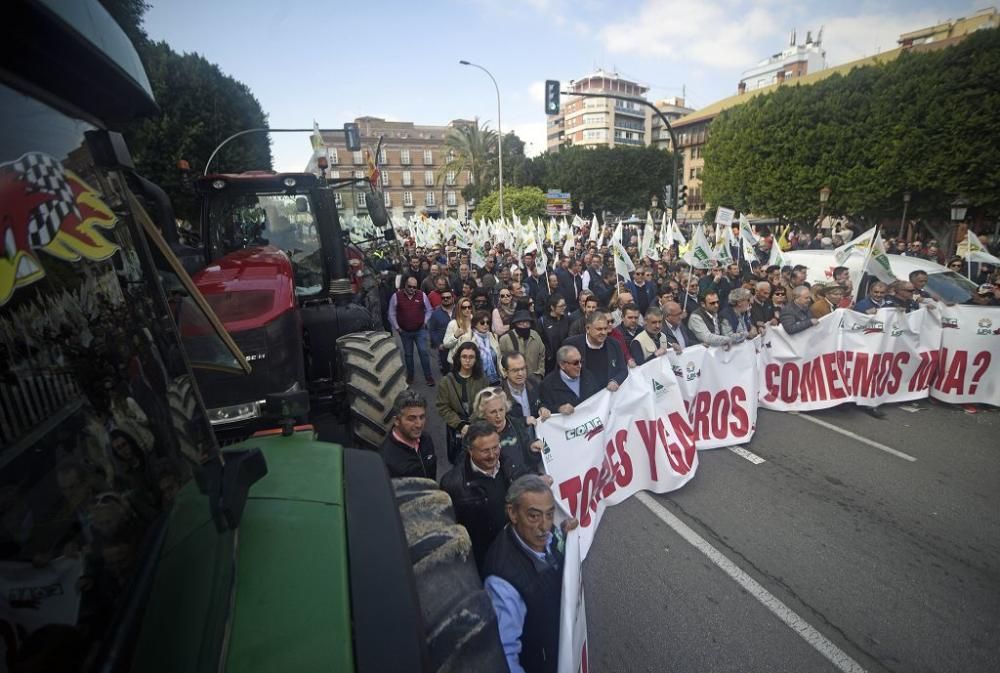 Así ha sido la manifestación de los agricultores en Murcia (II)