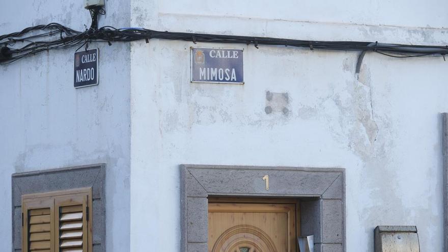 El barrio de Las Palmas de Gran Canaria que narró la Luna entre calles de plantas