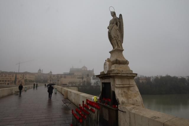 FOTOGALERÍA / Una densa niebla despierta Córdoba