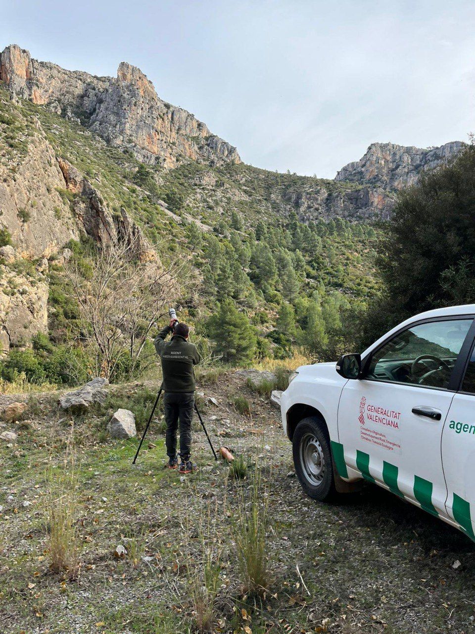 Observación de cabra montesa en la provincia de Castelló