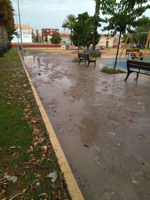 Las fotografías han sido tomadas en el parque Joan Fuster