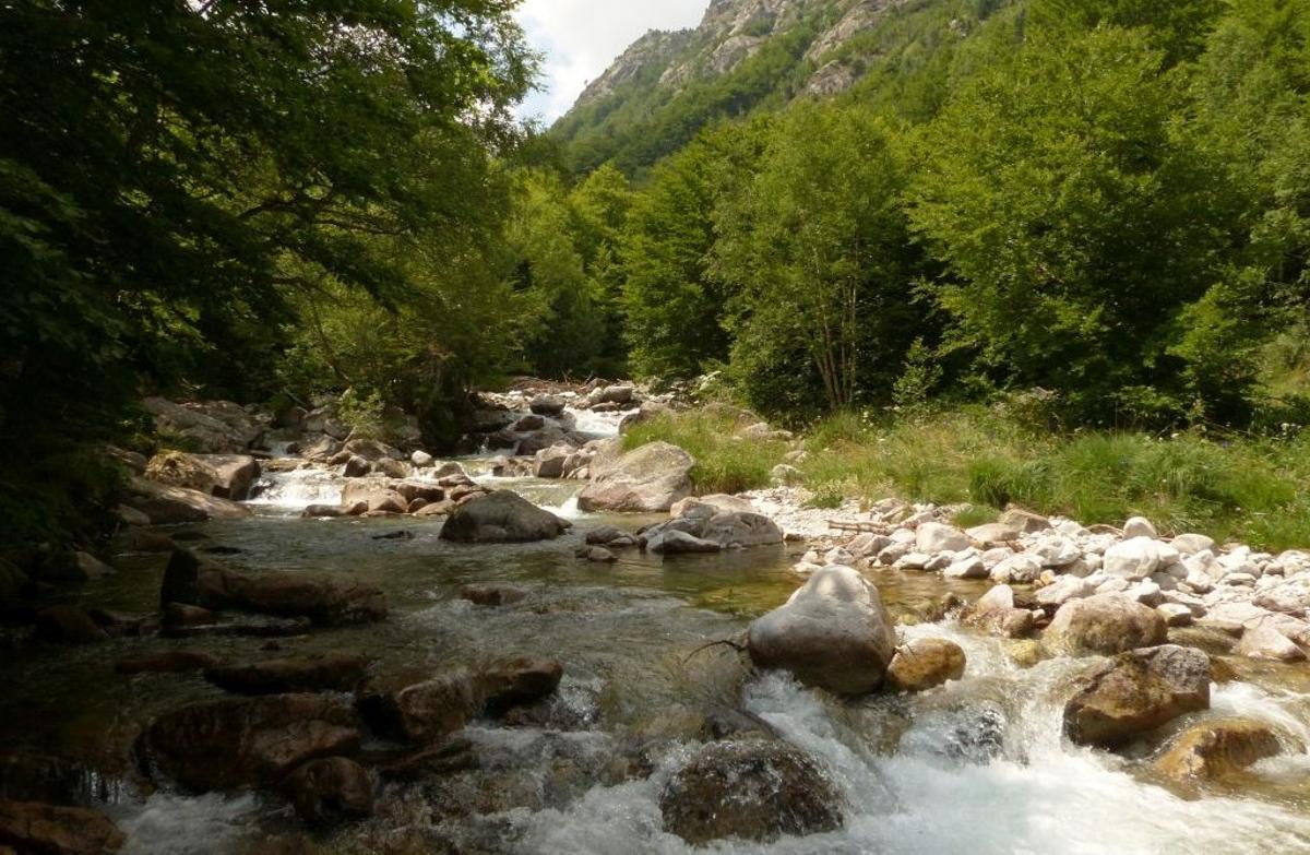 Imagen del río Salenca, en Cataluña