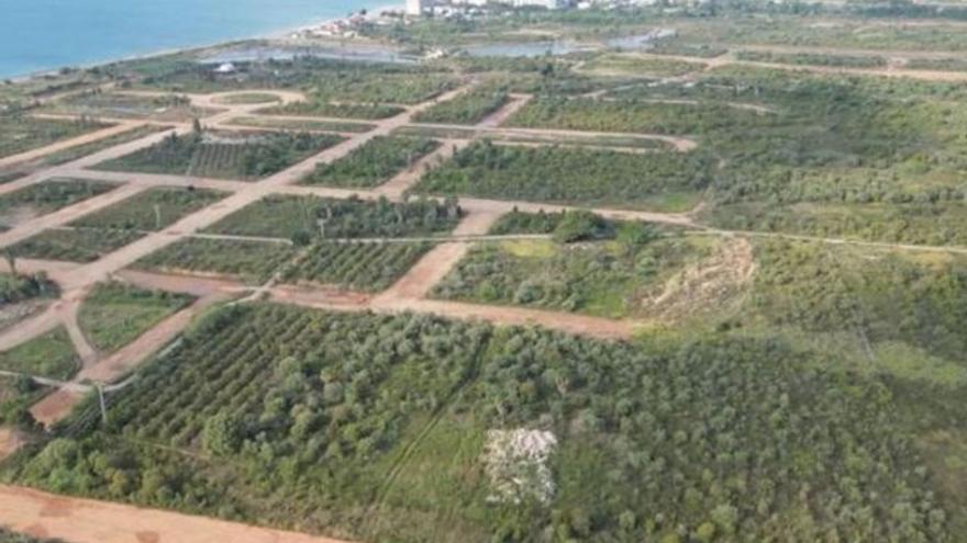 El objeto de la investigación surgió a raíz de una denuncia de la Agencia Valenciana Antifraude. | MEDITERRÁNEO