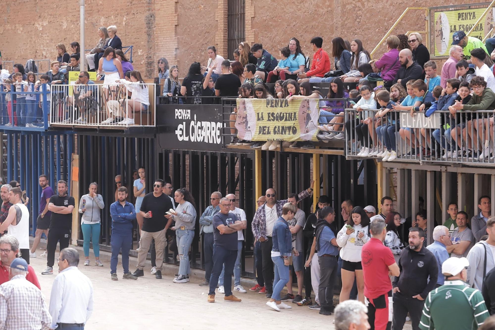 Las imágenes de la séptima jornada de las fiestas de Sant Pasqual del 2023 en Vila-real