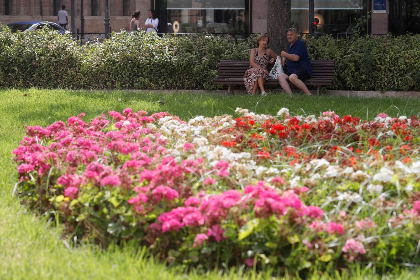 Las altas temperaturas no impiden el turismo en el centro de València