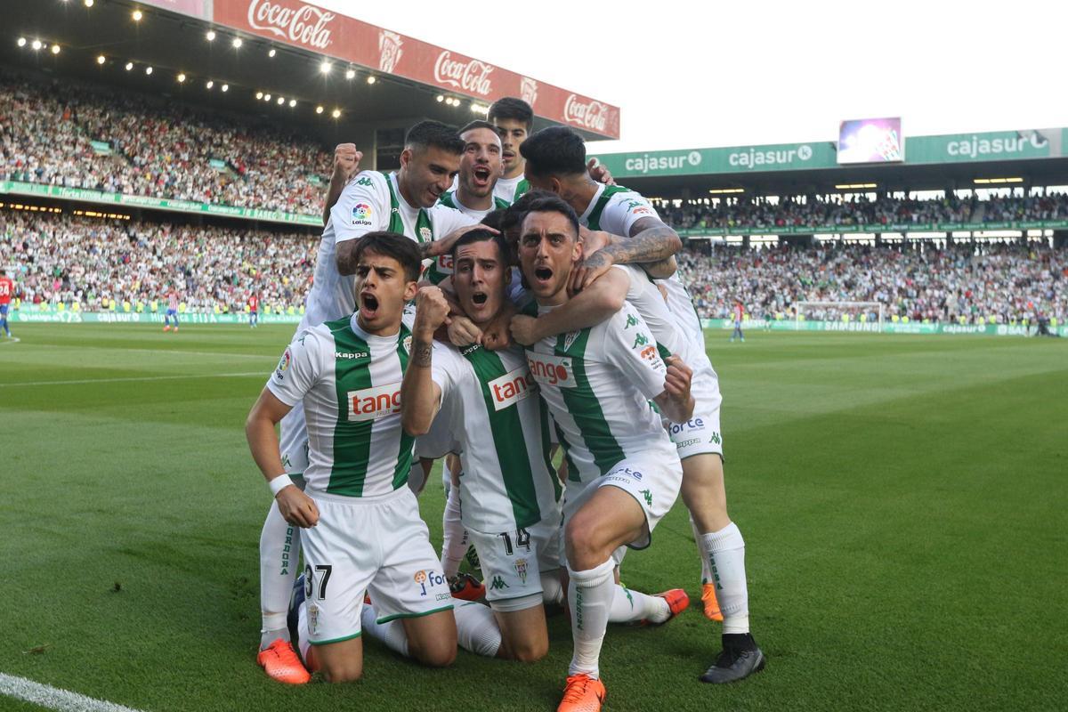 Aguado, abajo a la izquierda, celebra la salvación del Córdoba CF en El Arcángel, en junio del 2018.