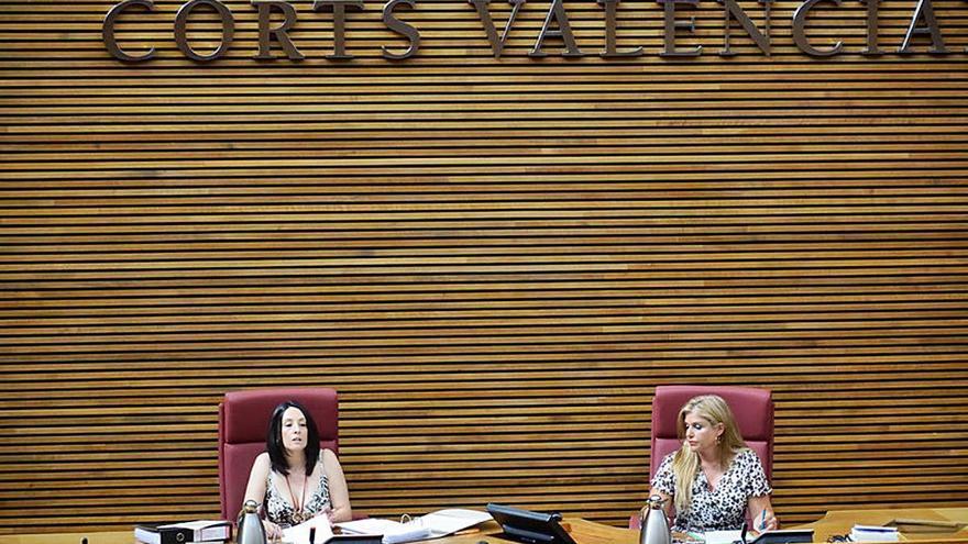 La secretaria autonómica de Economía Sostenible, Rebeca Torró, en las Corts. A su lado, Eva Ortiz.