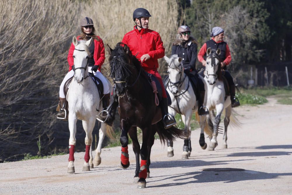 Festa de Sant Antoni Abat a Torroella de Montgrí