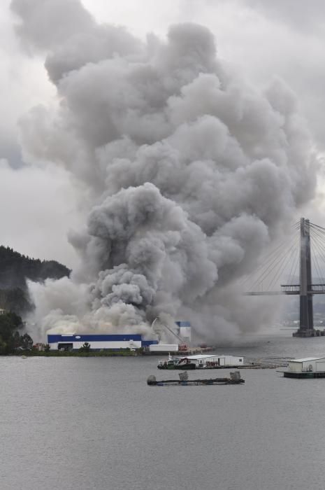 Un aparatoso incendio ha obligado a evacuar este lunes por la  tarde la nave de la empresa Fandicosta, en Moaña (Pontevedra),  dedicada al procesado de congelados del mar y situada en el lugar de  Verdeal, en la parroquia de Domaio, y una densa humareda cubre parte  de la ría, especialmente en la zona del puente de Rande.