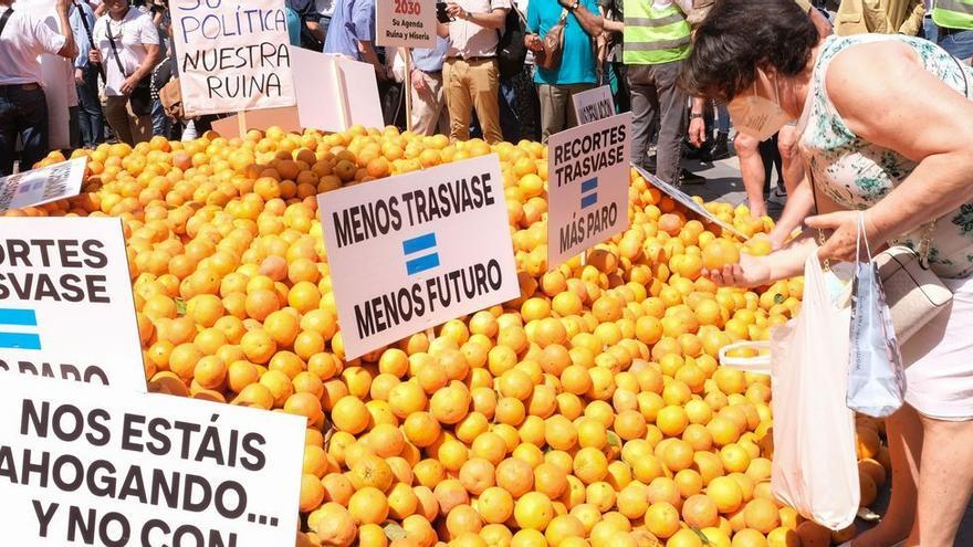 Un mujer recoge naranjas en la plaza de la Montañeta de Alicante durante la concentración contra el recorte del trasvase en mayo