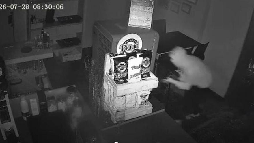 Onada de robatoris a locals de restauració de Manresa
