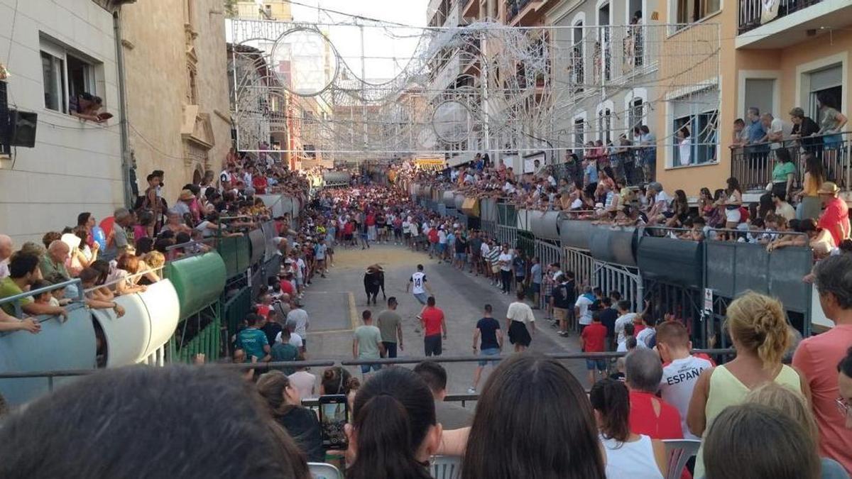 Imagen de archivo de los "bous al carrer" de Pedreguer