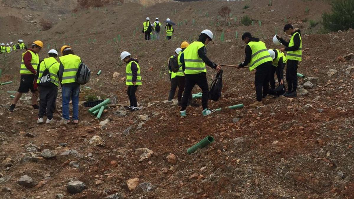 Estudiantes del Algarb plantan árboles para restaurar la cantera de Can Xumeu