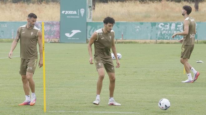 Posibles alineaciones del Córdoba CF-Granada: altas, bajas y dudas