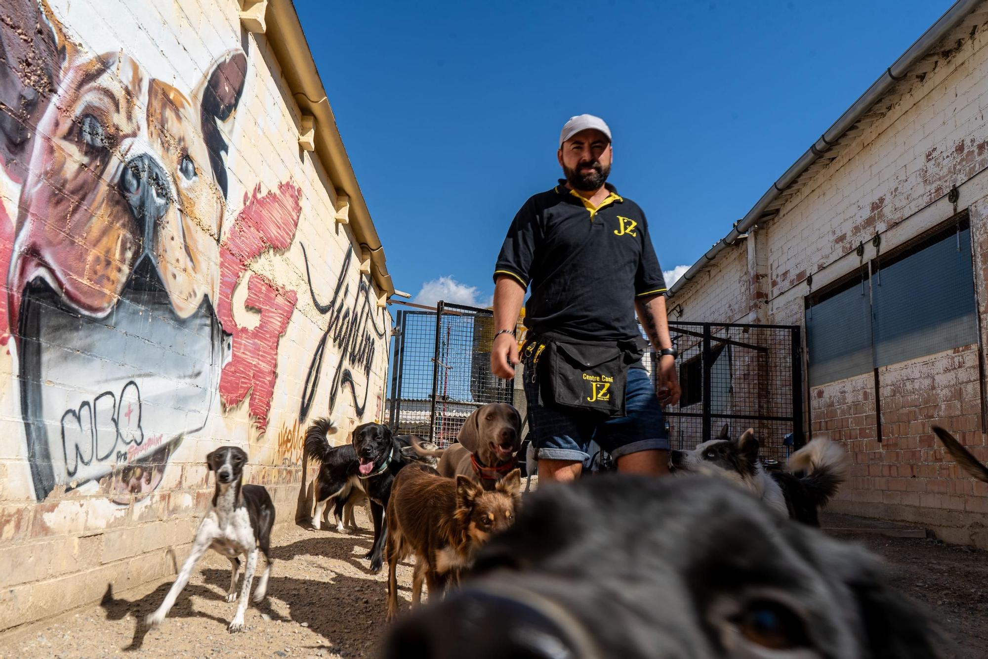 Residències canines: Centre Caní Jonatan Zafra, a Sant Fruitós de Bages