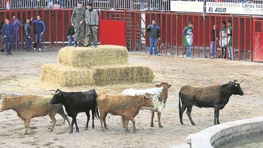 Los encierros y capeas vuelven a estar en el programa del carnaval