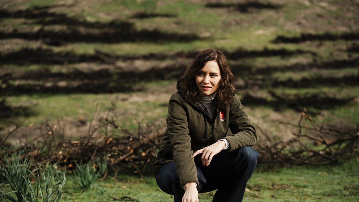 Ayuso pide “dejar en paz al rey” y defiende el "orgullo" de España: “Llevamos una forma civilizada de ver la vida”