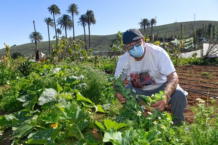 Huertos que dan la vida en Agüimes