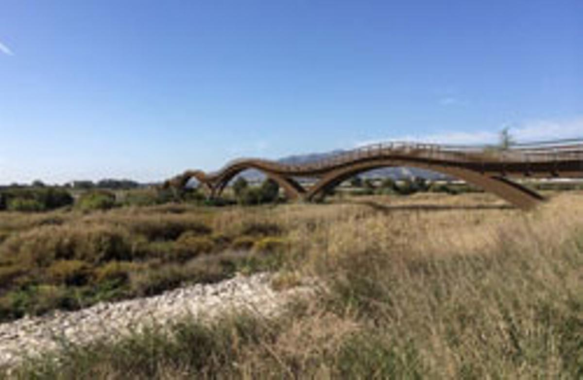 Dos mil árboles para el Guadalhorce