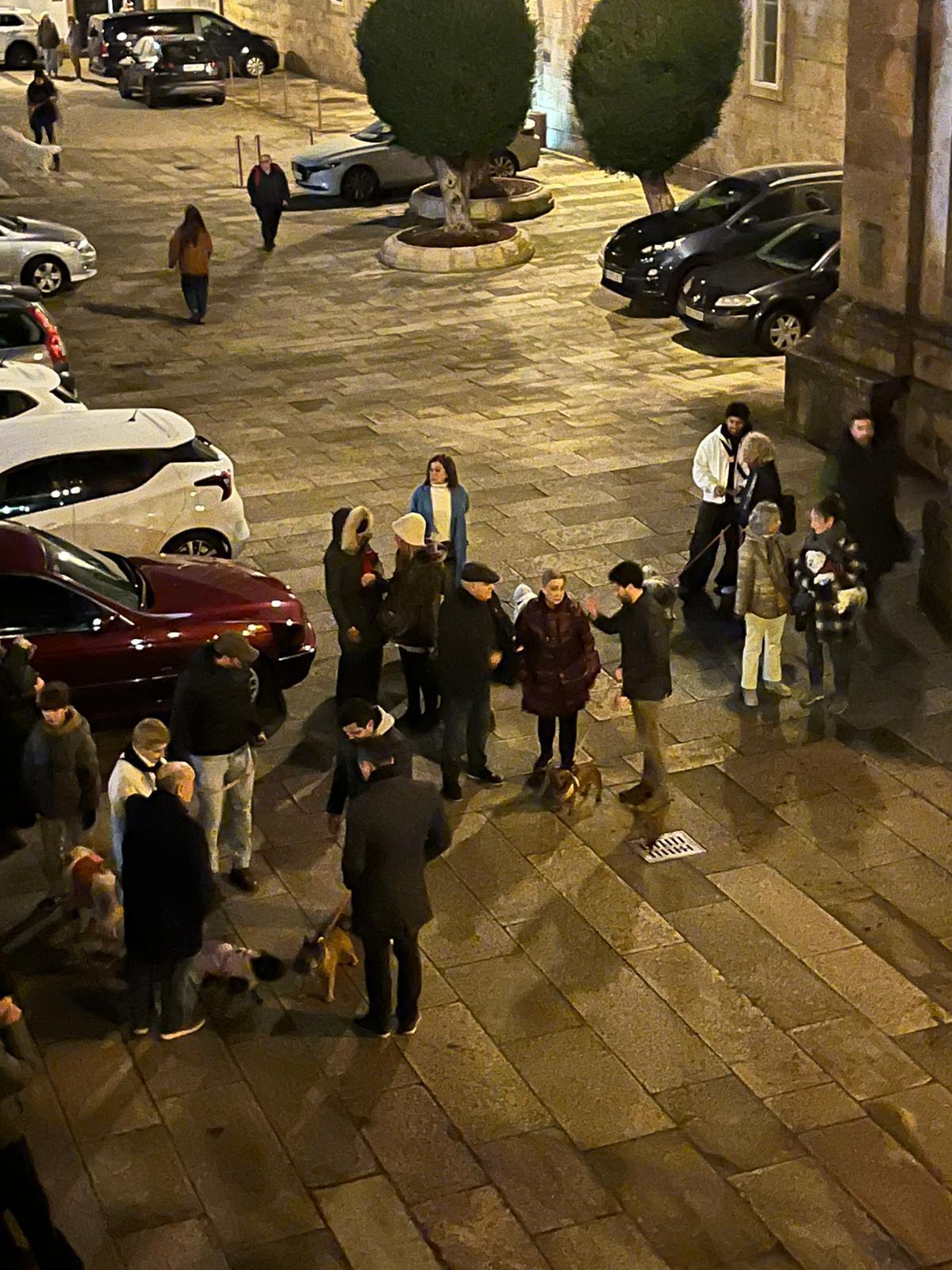 Bendición de animales por San Antón en Santiago