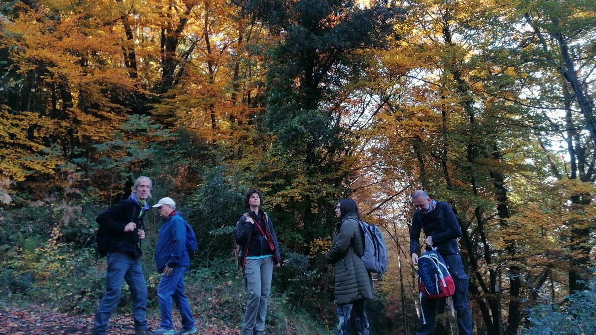 Una activitats a la zona volcànica de la Garrotxa