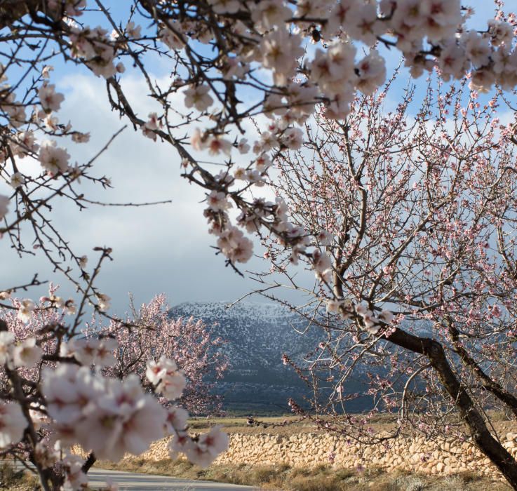 Primeras nieves en la Región