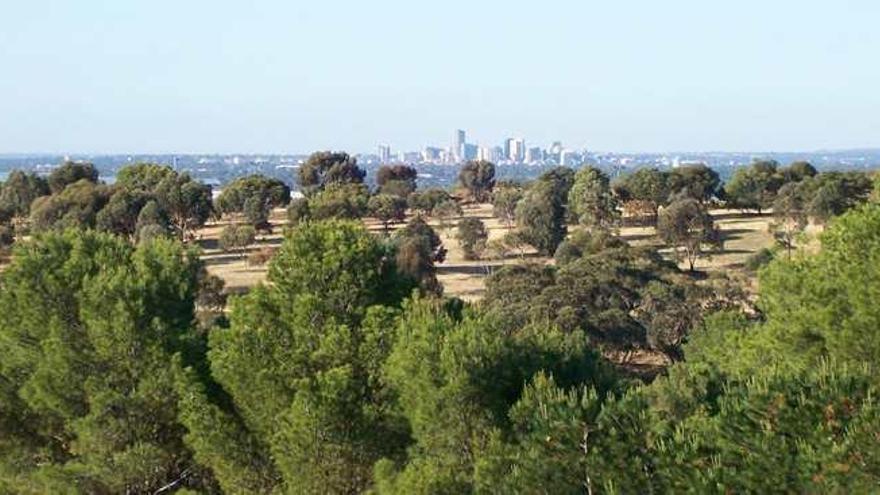 Vista de Adelaida (Australia) desde la Universidad de Flinders, donde enseñó Luis Sánchez-Cuñat.