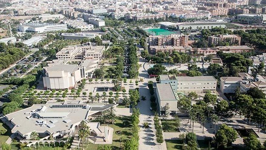 Imagen del campus de la Universidad de Alicante