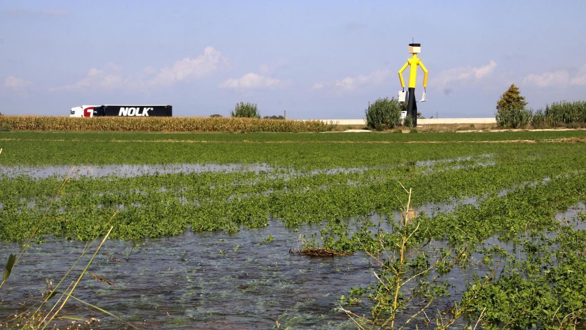 Un informe alerta que la agricultura es la "principal presión" sobre los recursos hídricos en toda Europa