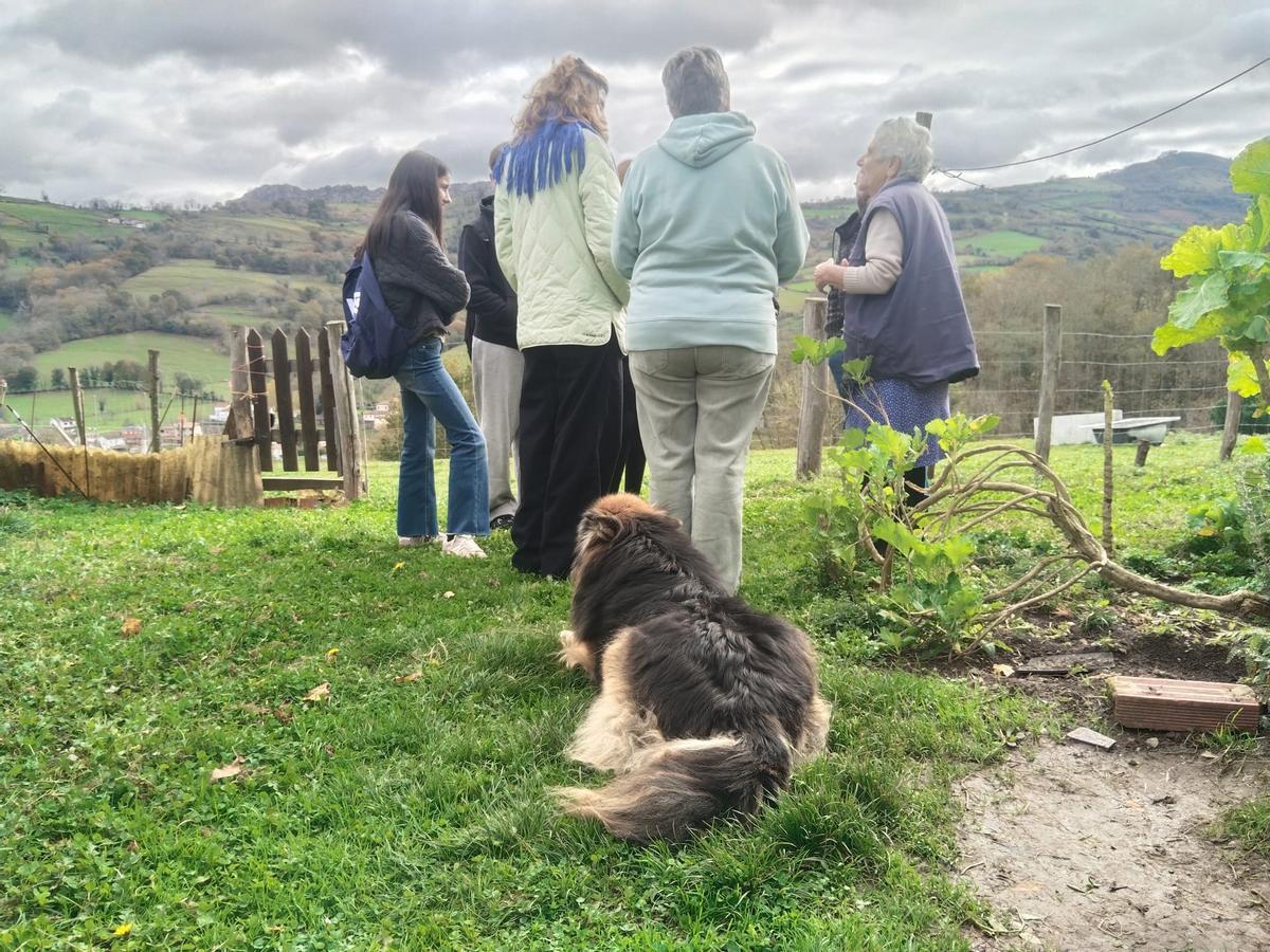 Un momento de las actividades.