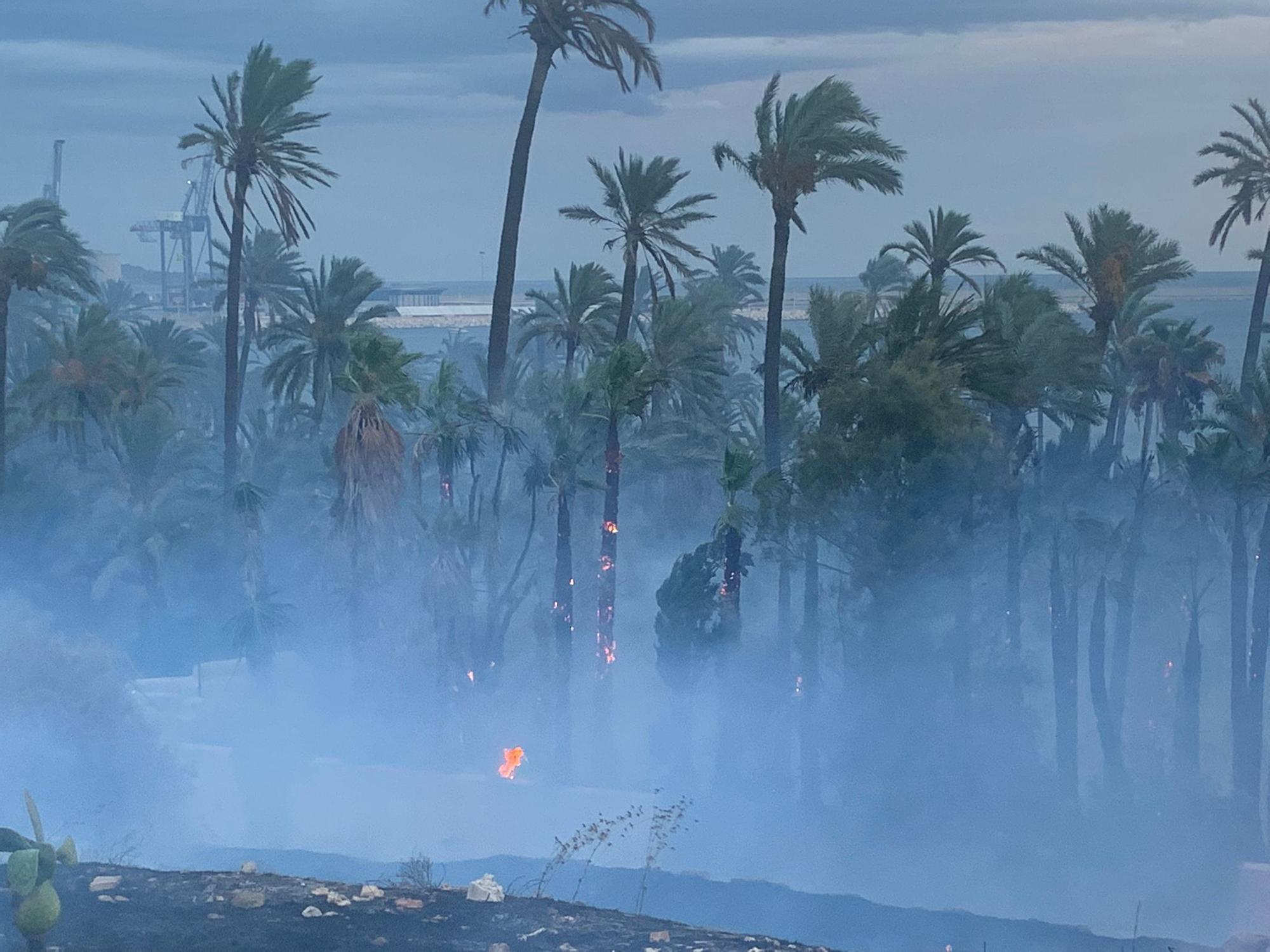 Así ha sido el fuego junto a El Palmeral de Alicante