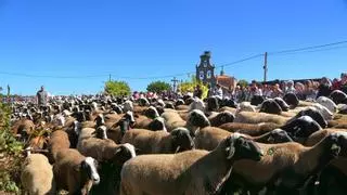 El Cristo de Septiembre cierra el ciclo romero de La Raya entre rezos y trashumantes